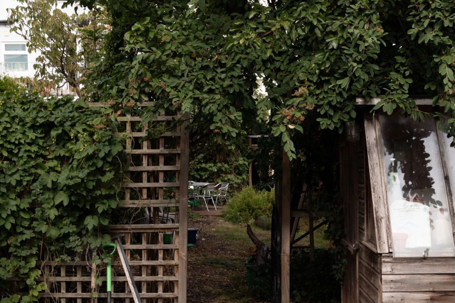 victorian-terrace-home-tufnell-park-n19-for-sale - 16